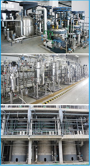 Sichuan Lomon Bio Technology Co., Ltd. Sichuan Lomon Bio Technology Co., Ltd.